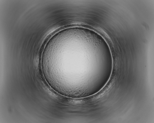 X0000112870831200908281623