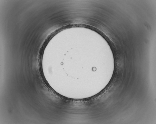 X0000112870832200908281623