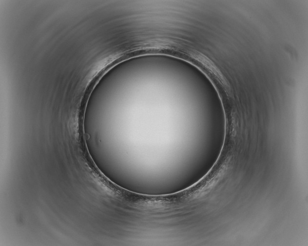 X0000112870834200908281623