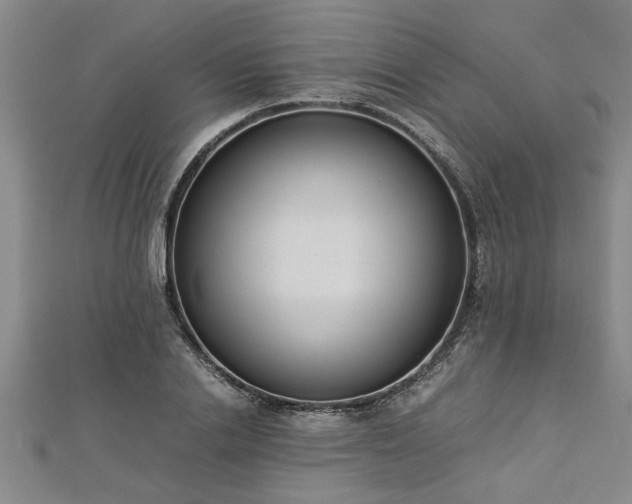 X0000112870838200908281623