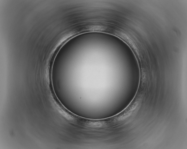 X0000112870843200908281623