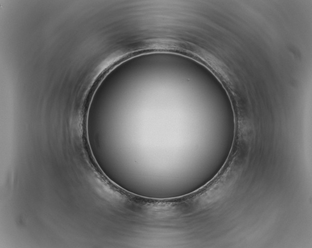 X0000112870846200908281623