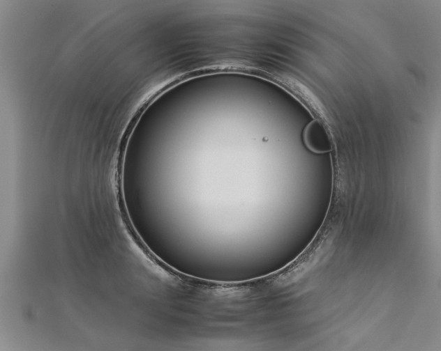 X0000112870847200908281623