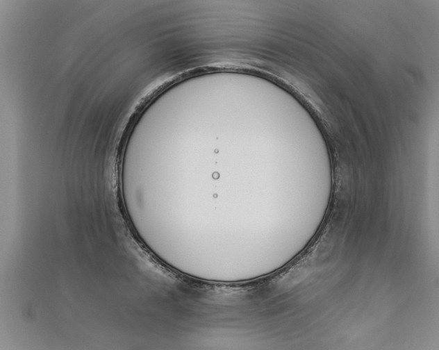 X0000112870848200908281623