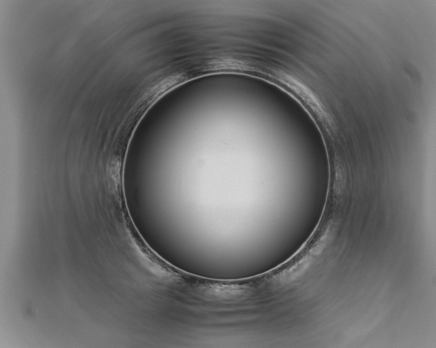 X0000112870849200908281623