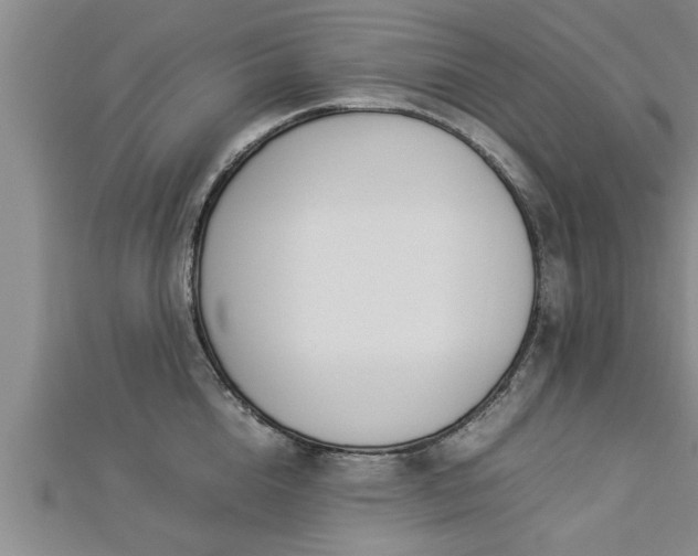 X0000112870856200908281623