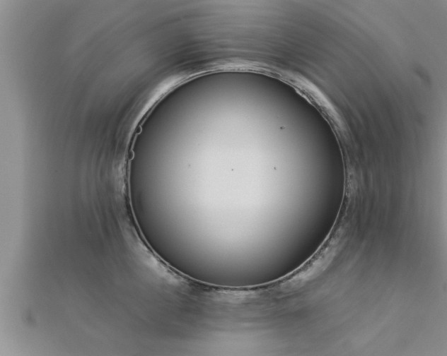 X0000112870860200908281623