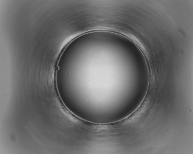 X0000112870862200908281623