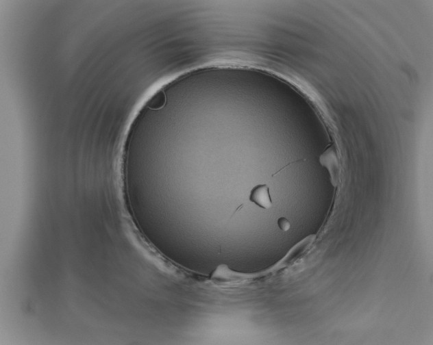 X0000112870864200908281623