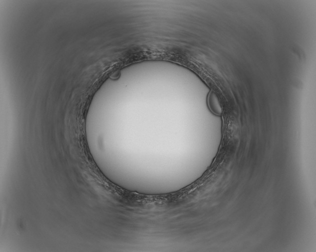 X0000112870865200908281622