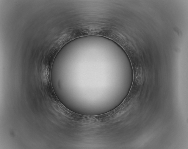 X0000112870866200908281622