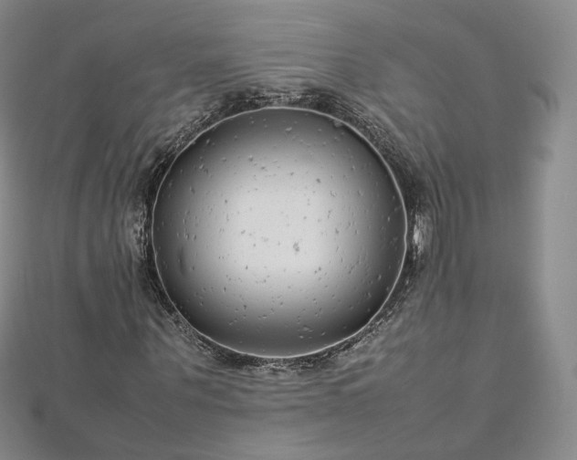 X0000112870867200908281622