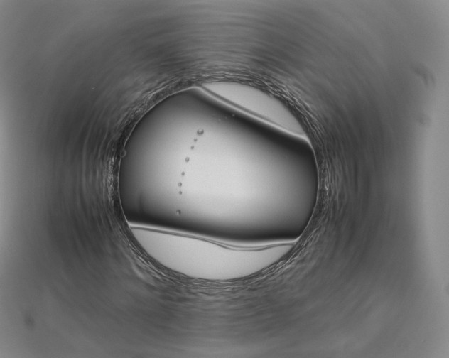 X0000112870868200908281622