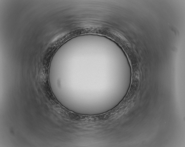 X0000112870869200908281622