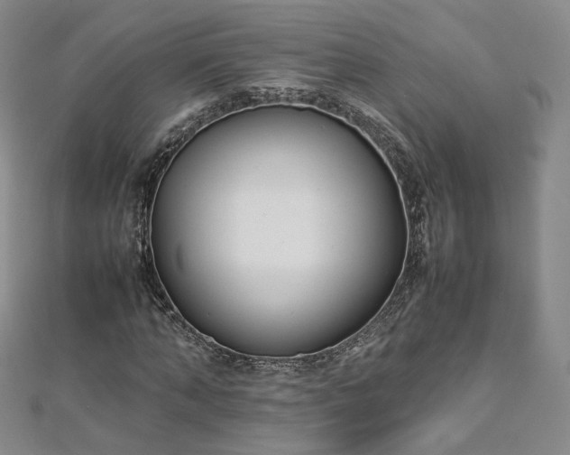 X0000112870870200908281622