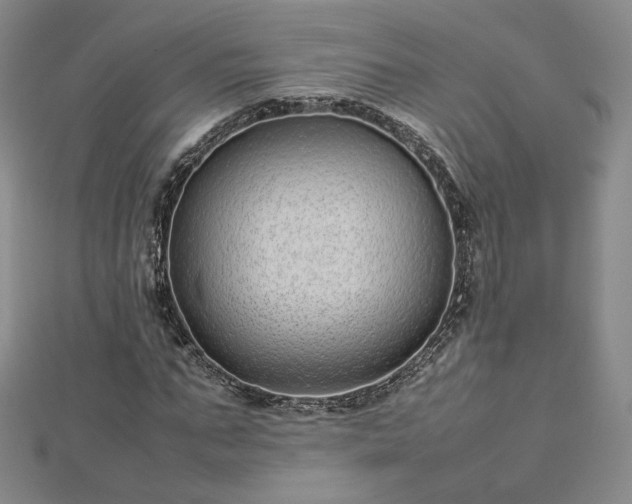 X0000112870871200908281622