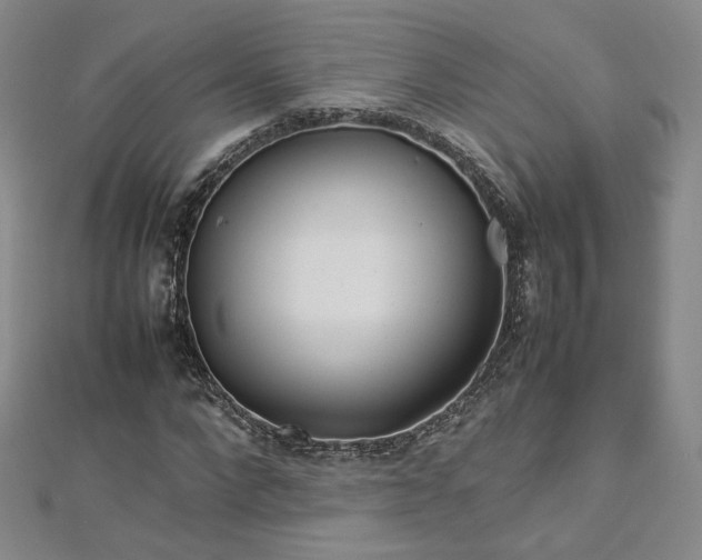 X0000112870872200908281622