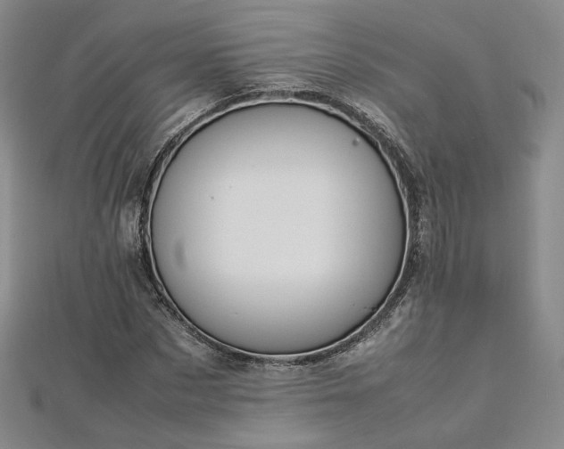 X0000112870873200908281622