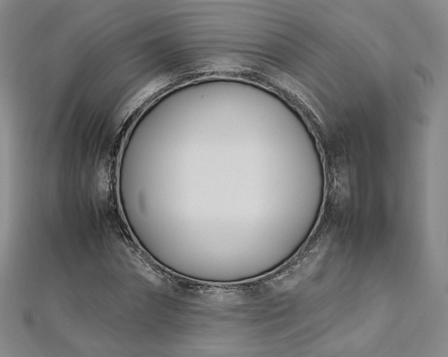 X0000112870874200908281622