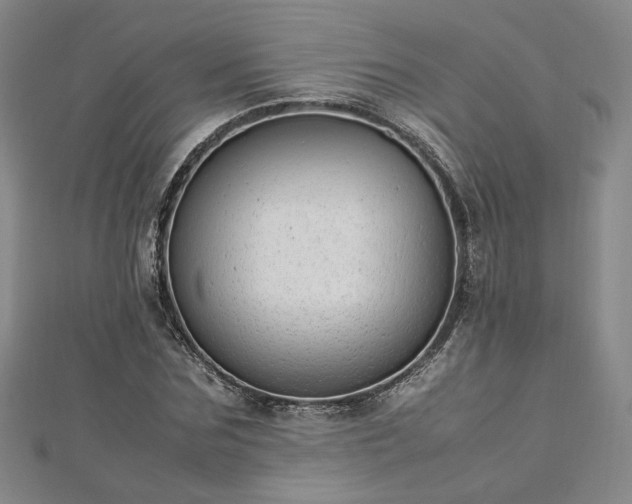 X0000112870875200908281622