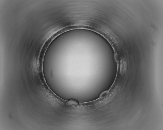 X0000112870876200908281622