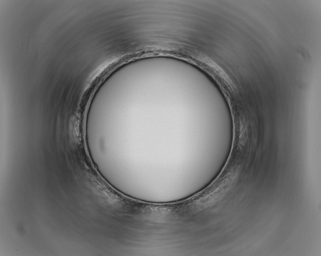 X0000112870878200908281622