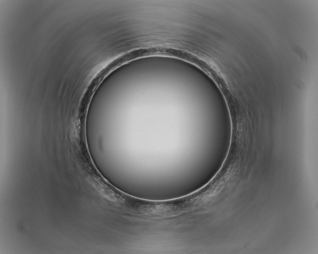 X0000112870879200908281622