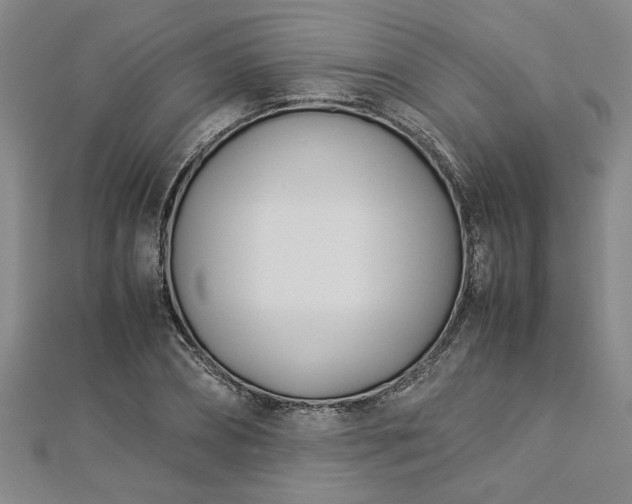 X0000112870882200908281622