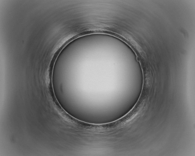 X0000112870885200908281622