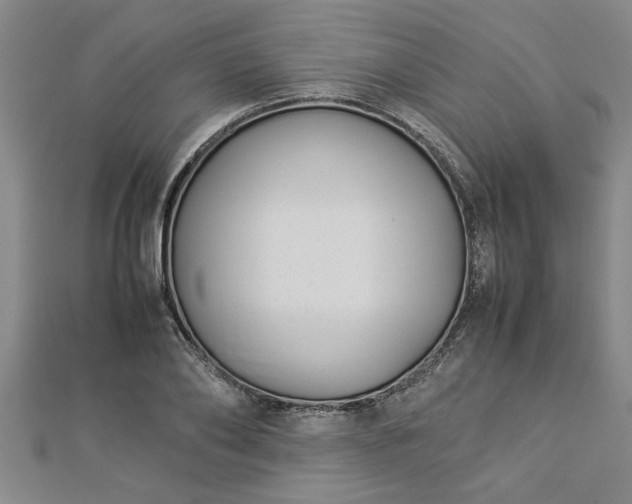 X0000112870886200908281622