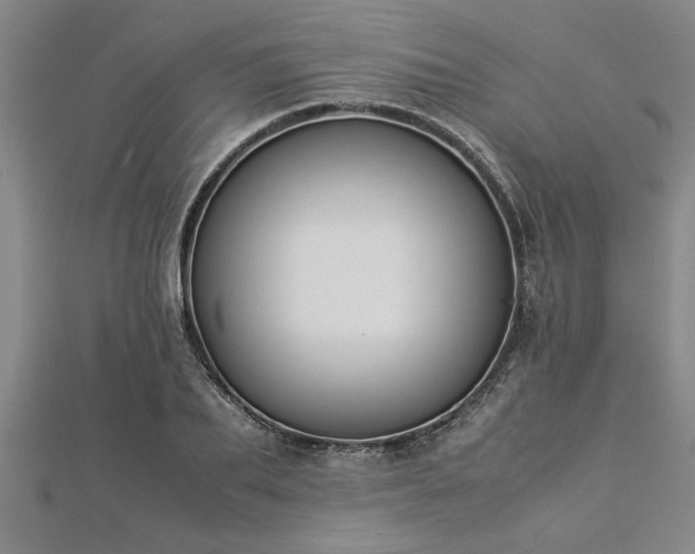 X0000112870887200908281622