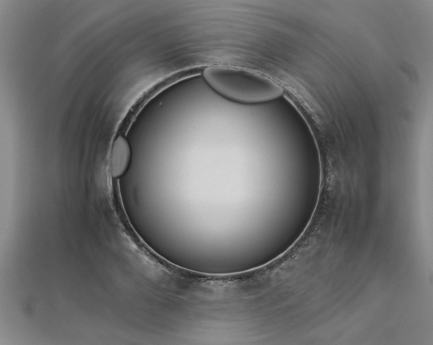 X0000112870888200908281622