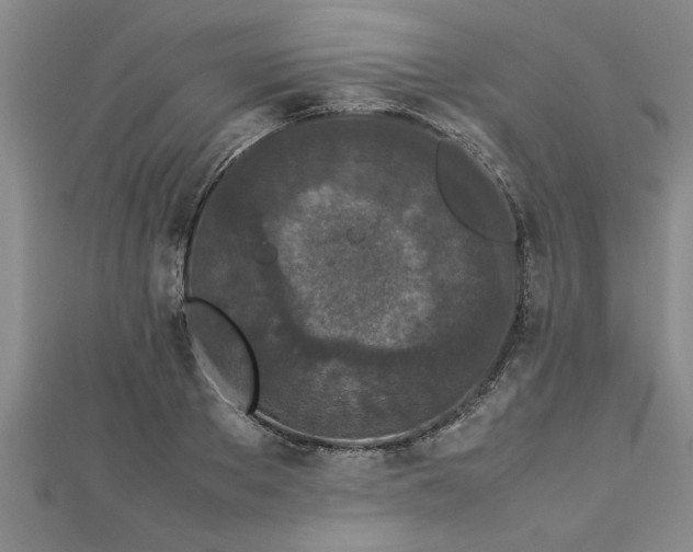 X0000112870889200908281622