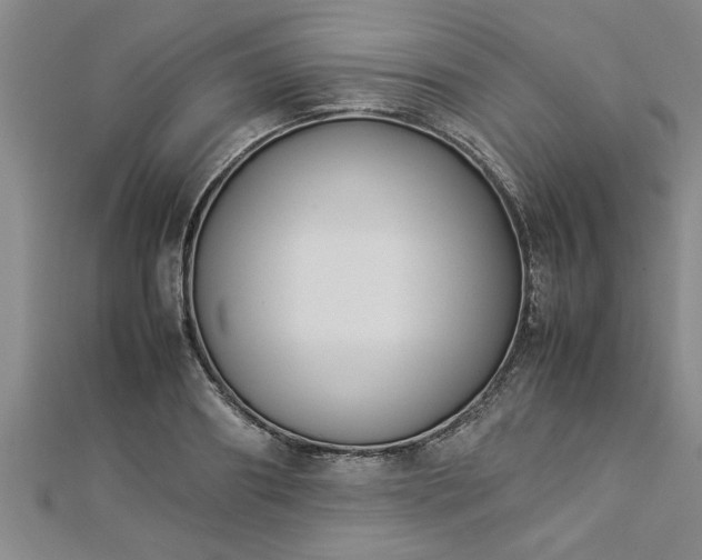 X0000112870890200908281622