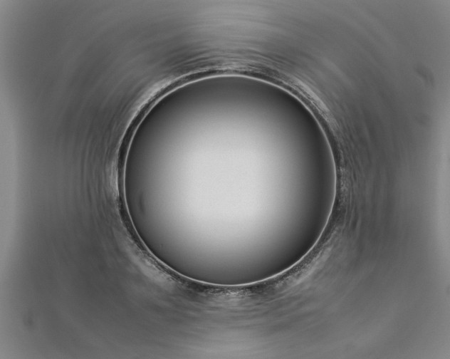 X0000112870891200908281622