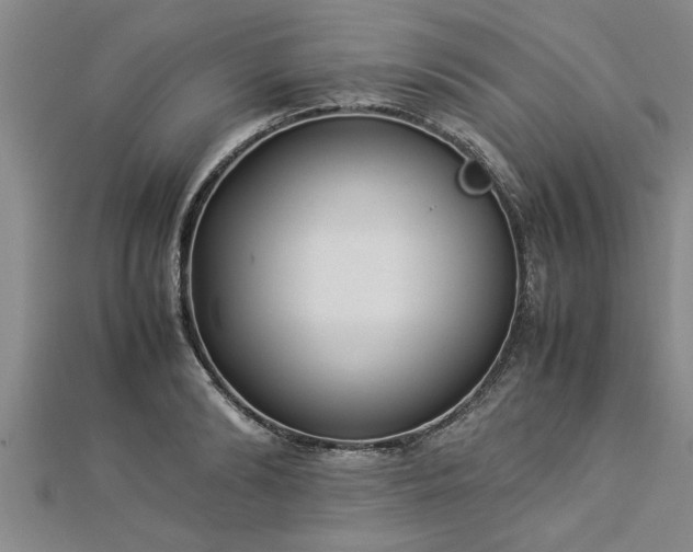 X0000112870894200908281622