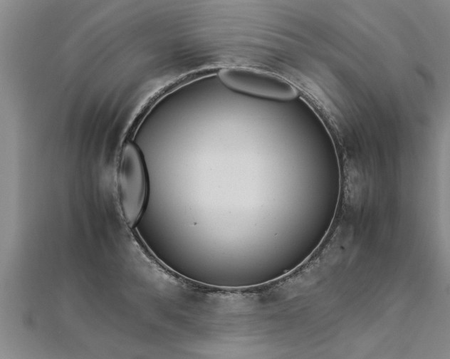 X0000112870896200908281622