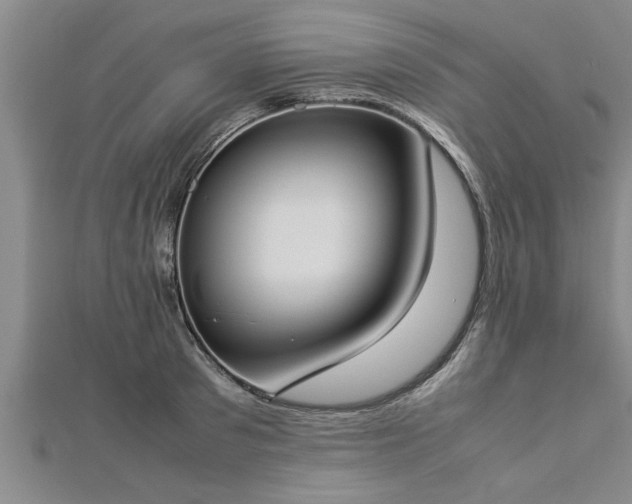 X0000112870897200908281622