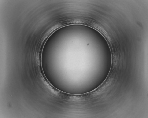 X0000112870898200908281622