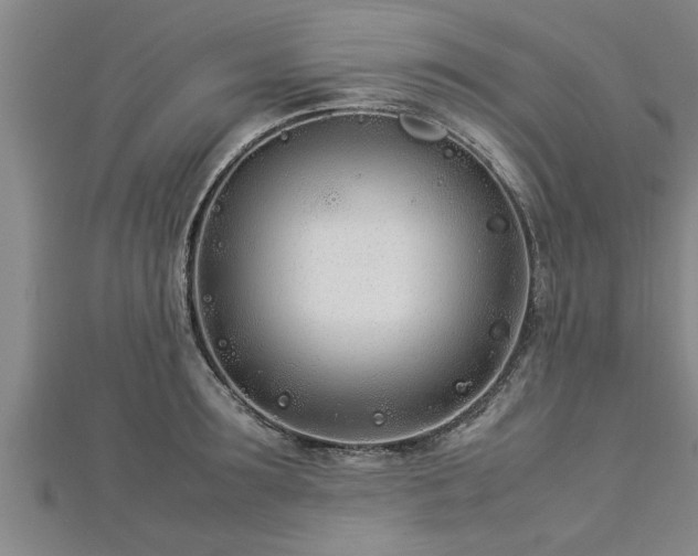 X0000112870899200908281622