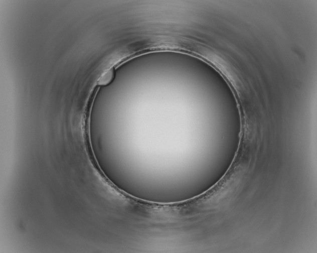 X0000112870901200908281622