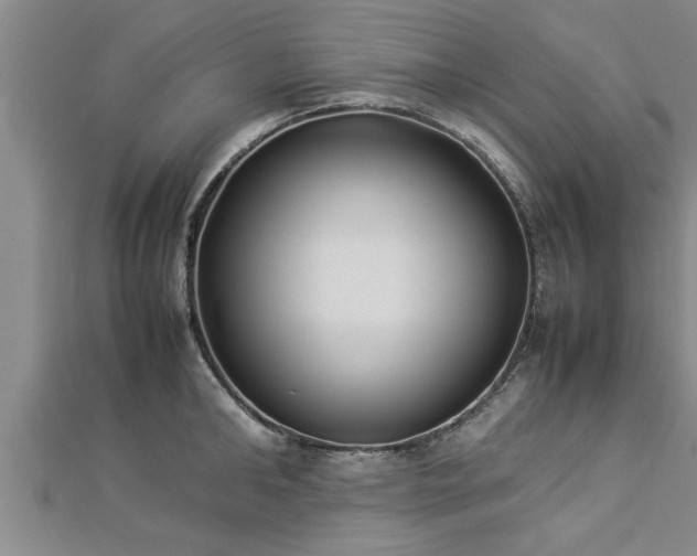 X0000112870902200908281622