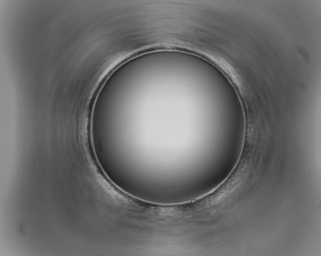 X0000112870903200908281622