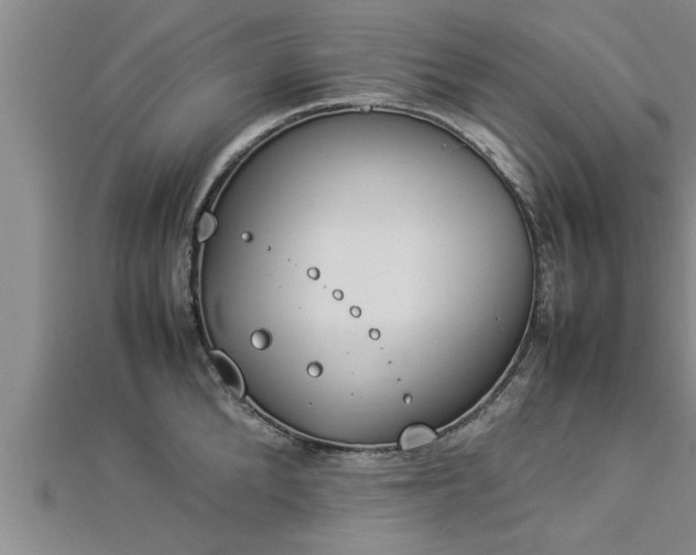 X0000112870904200908281622