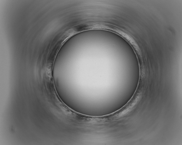 X0000112870905200908281622