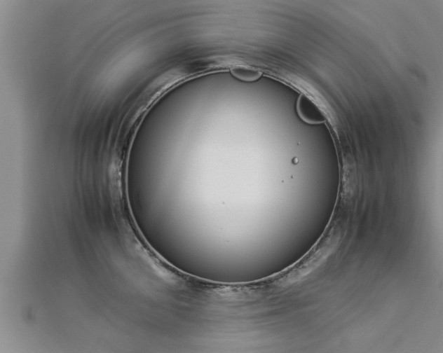 X0000112870906200908281622