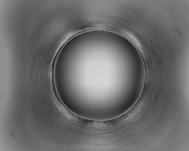 X0000112870907200908281622