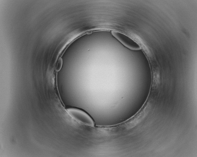 X0000112870908200908281622