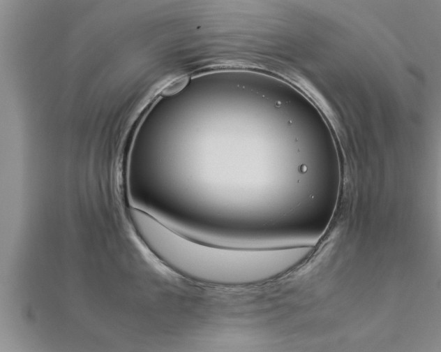 X0000112870909200908281622