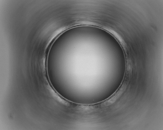 X0000112870910200908281622